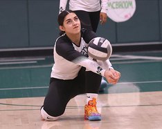 All-VOL girls volleyball