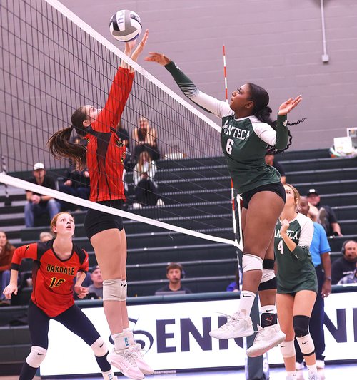 All-VOL girls volleyball