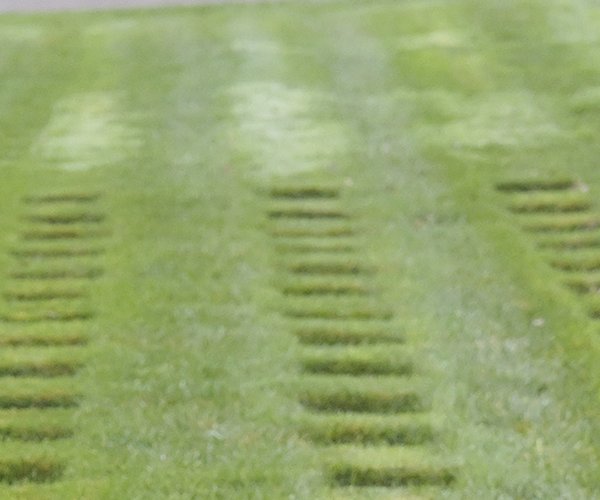Wreaths Across America 1