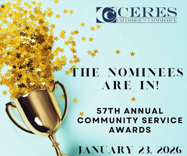 Chamber awards art 2026