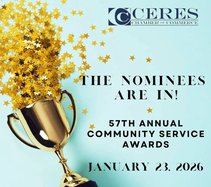 Chamber awards art 2026