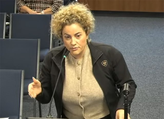 Substitute teacher sues council candidate for defamation