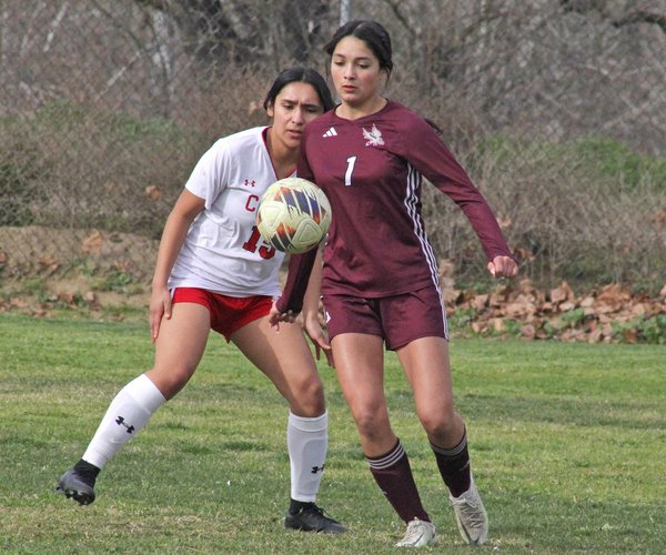 Aaralyn Jauregui Brianna Luna