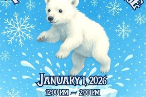 Polar Bear Plunge