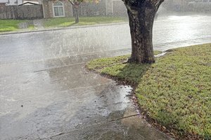 Rainfall in December Ceres