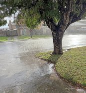 Rainfall in December Ceres