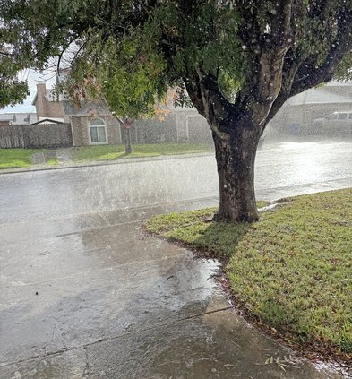 Rainfall in December Ceres