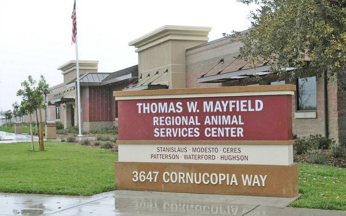 SASA shelter Mayfield