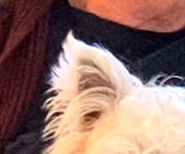 Joseph “Terry” Terrence Francke obit