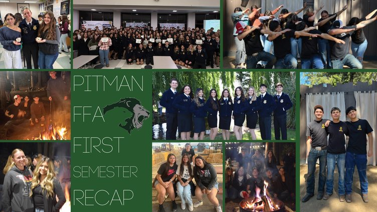 Pitman FFA