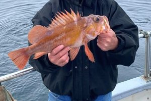 SEAN JOSEPH O’HEARN obit