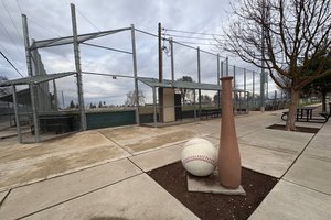 elliott baseball field