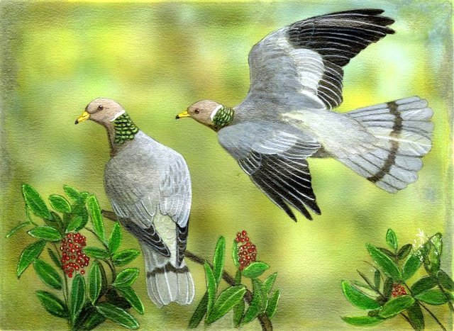 Maryland artist wins Upland Game Bird Stamp contest