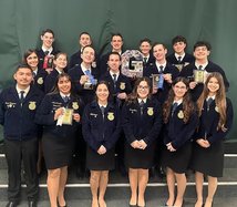 gustine ffa 2-18