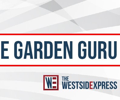 WEX_CAT_Col_Garden Guru.jpg