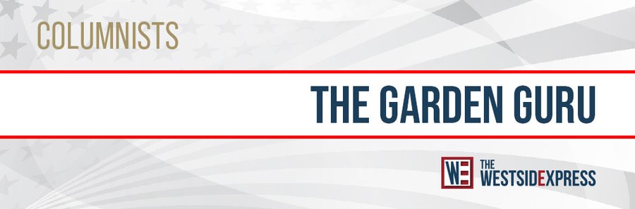 WEX_CAT_Col_Garden Guru.jpg