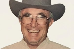 HARRY LEANDER CUMMINS obit