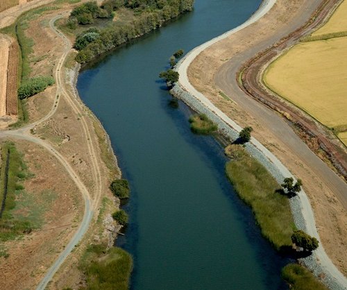 Levees