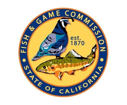 fish game