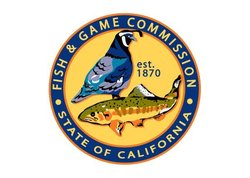 fish game