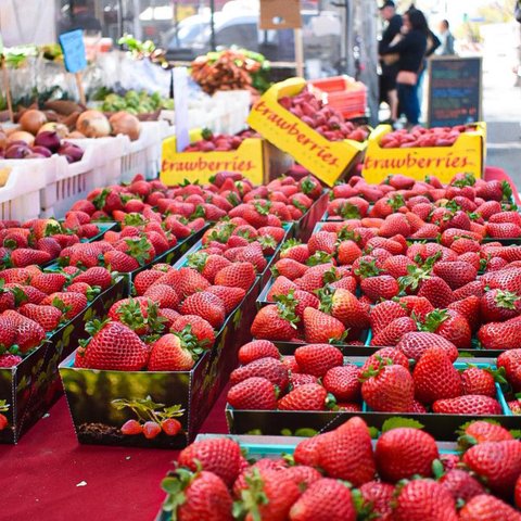 Farmers market season to open Saturday
