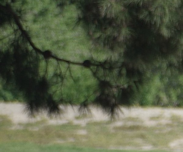 VOL Boys Golf Tournament