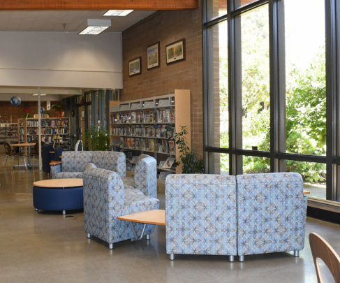 manteca library