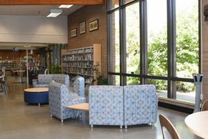 manteca library