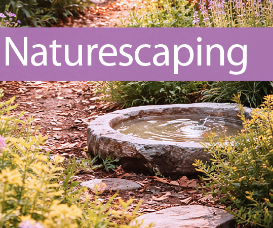 naturescaping.png