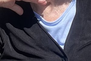 Sally Ann Perez obit