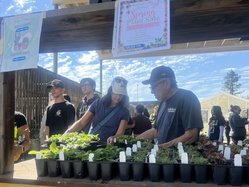 Turlock FFA plant sale 1