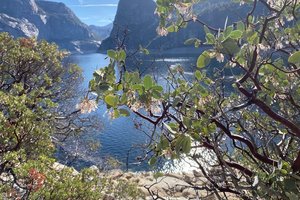 hetch hetchy