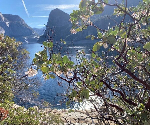 hetch hetchy