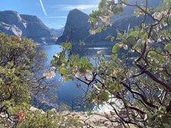 hetch hetchy