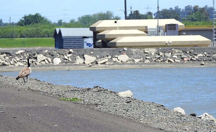 Ceres sewer plant too small