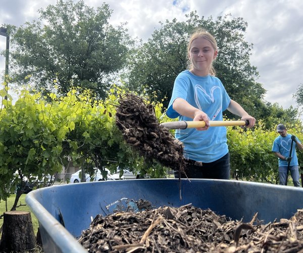 Love Turlock preview