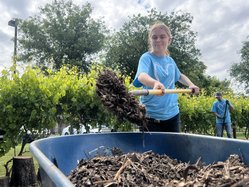 Love Turlock preview