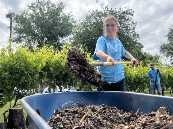 Love Turlock preview