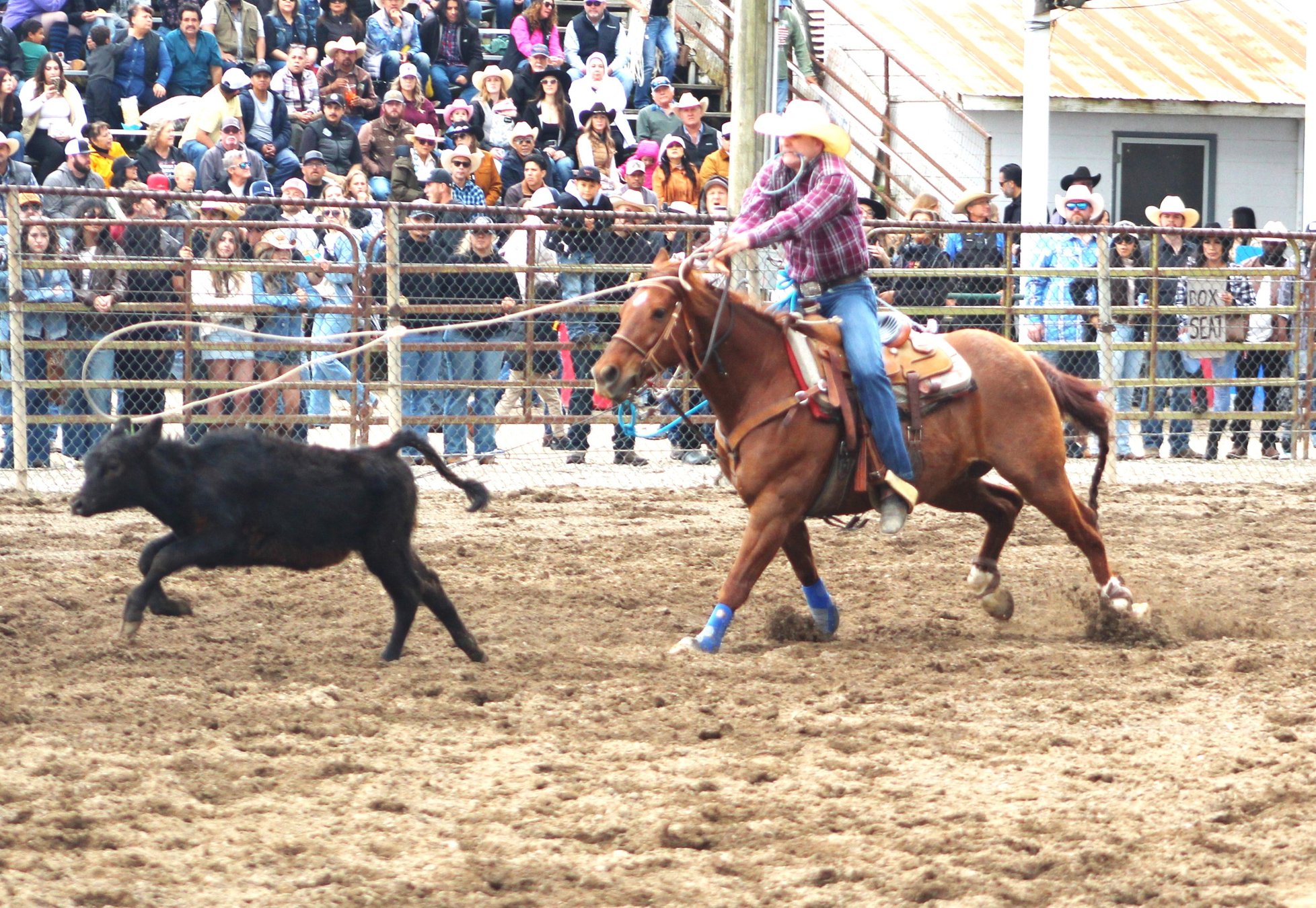Competition heats up Oakdale Saddle Club rodeo grounds - Escalon Times