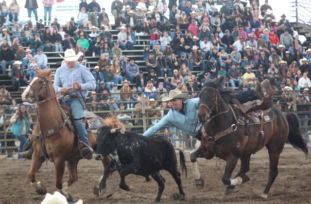 Competition heats up Oakdale Saddle Club rodeo grounds - Oakdale Leader