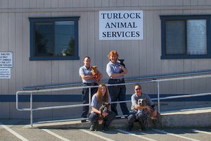 Turlock Animal Shelter