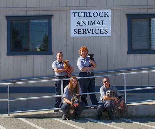 Turlock Animal Shelter