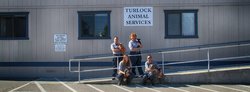 Turlock Animal Shelter