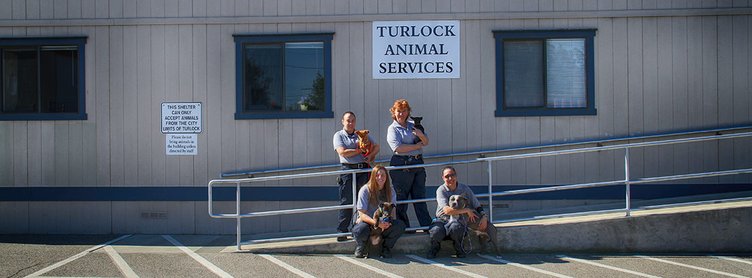 Turlock Animal Shelter