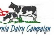 Dairy