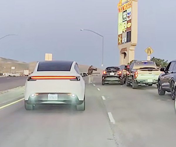 ICE shooting Patterson update