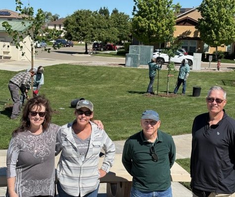 rose park tree planting