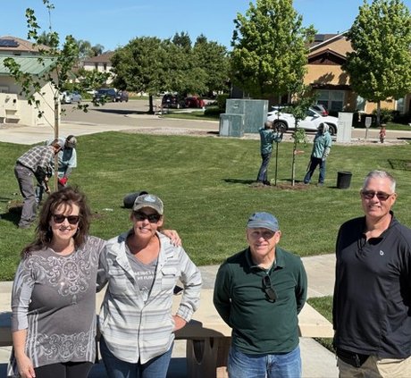 rose park tree planting