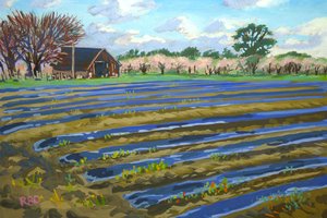 Farm and Fields 1