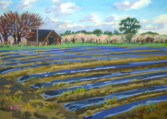 Farm and Fields 1
